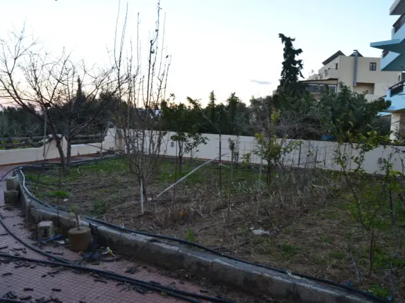 Business In Chersonisos, Greece (270 M²)