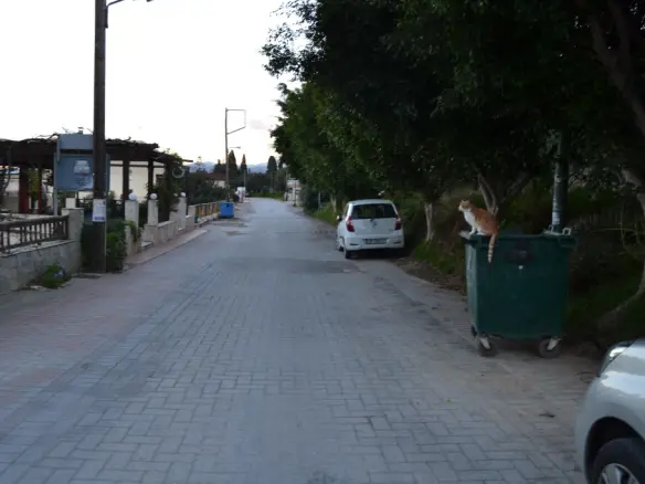 Business In Chersonisos, Greece (270 M²)
