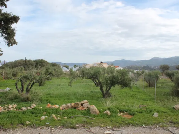 Land In Siteia, Greece
