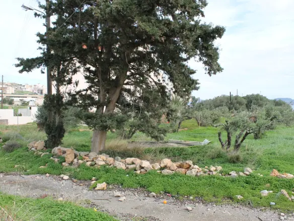 Land In Siteia, Greece