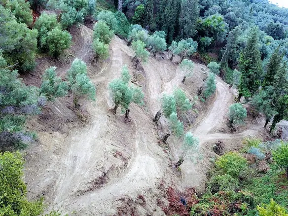 Land In Corfu, Greece