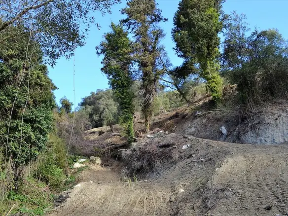 Land In Corfu, Greece