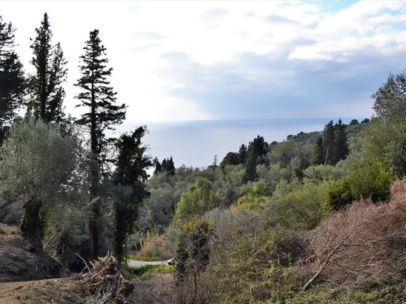 Land In Corfu, Greece
