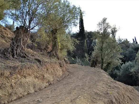 Land In Corfu, Greece