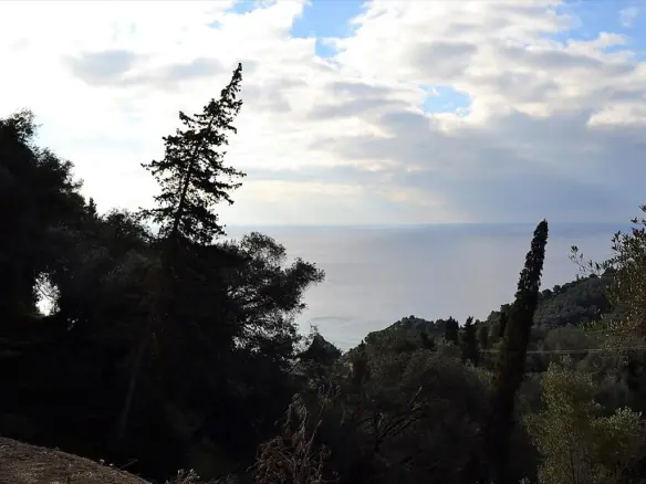 Land In Corfu, Greece