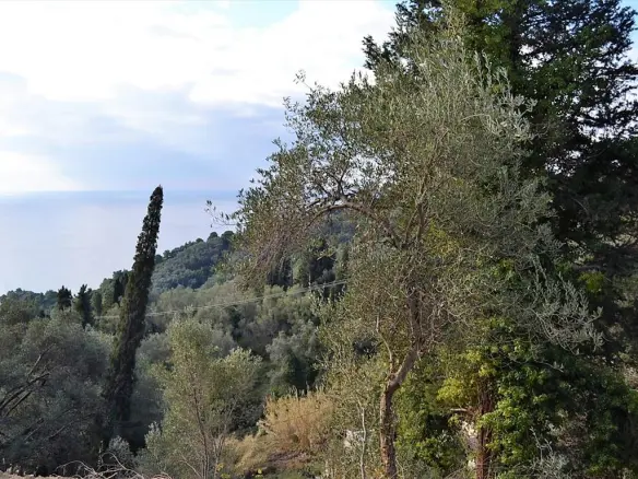 Land In Corfu, Greece
