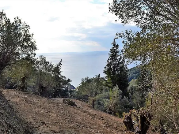 Land In Corfu, Greece