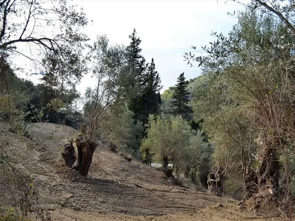 Land In Corfu, Greece