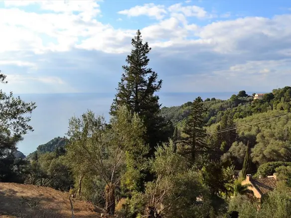 Land In Corfu, Greece