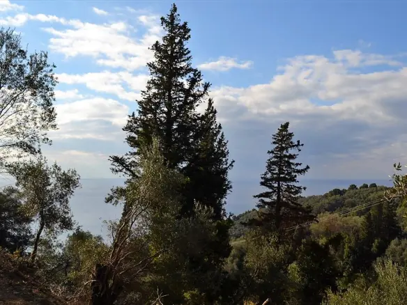 Land In Corfu, Greece