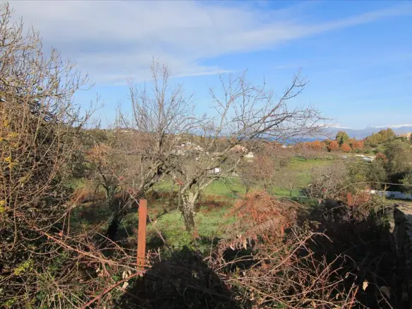 Land In Corfu, Greece