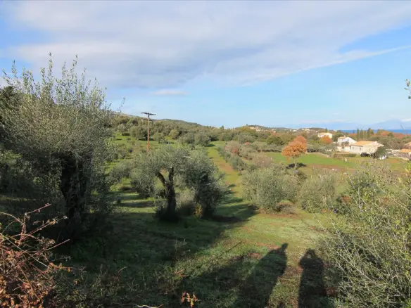 Land In Corfu, Greece