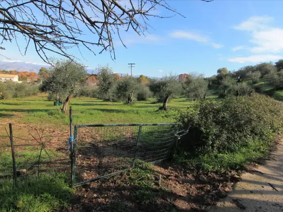 Land In Corfu, Greece