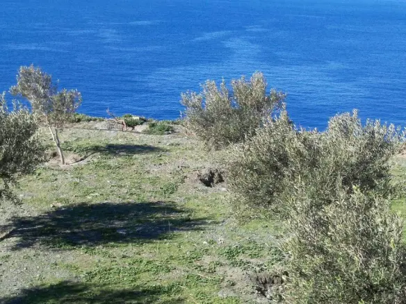 Land In Andros, Greece
