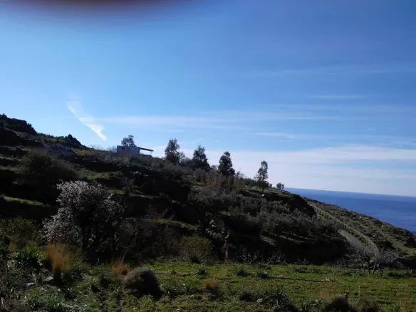 Land In Andros, Greece