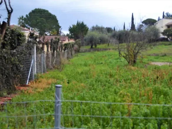 Land In Corfu, Greece