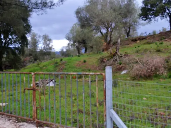 Land In Corfu, Greece