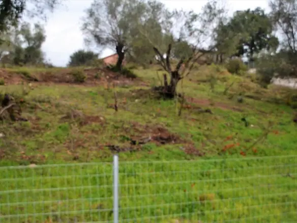 Land In Corfu, Greece