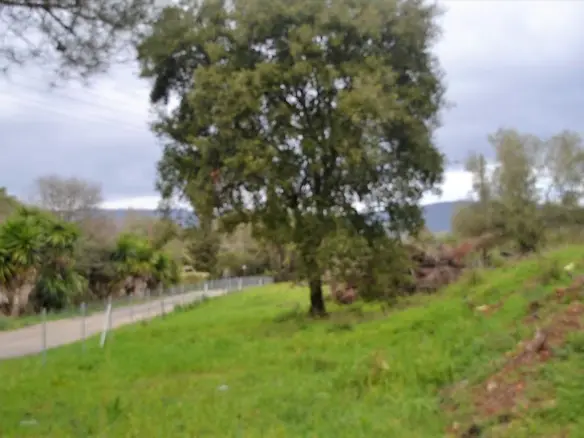 Land In Corfu, Greece