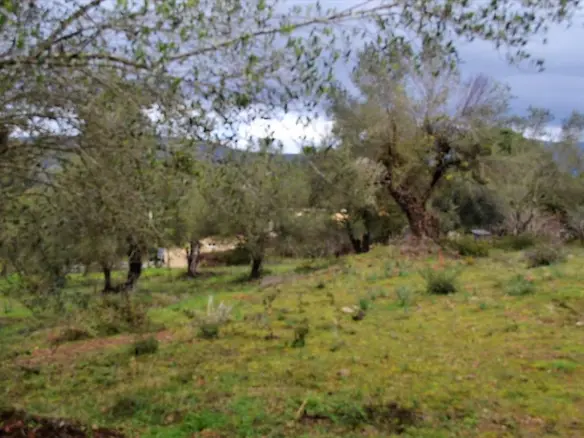 Land In Corfu, Greece