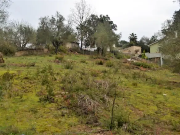 Land In Corfu, Greece
