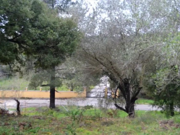 Land In Corfu, Greece