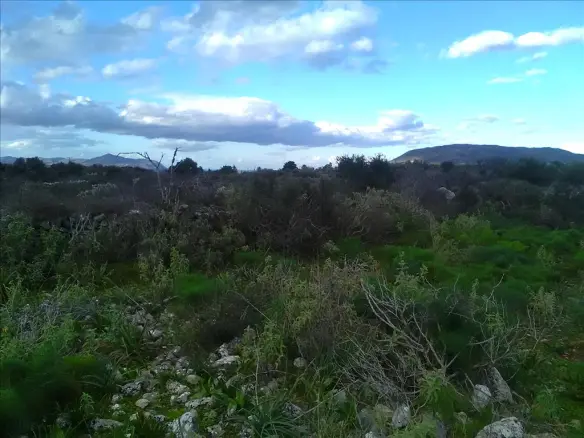 Land In Vamos, Greece