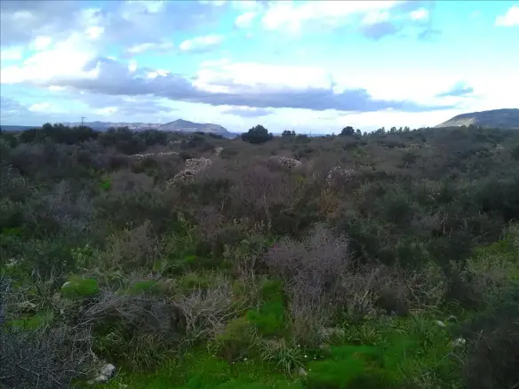 Land In Vamos, Greece