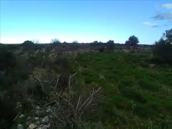 Land In Vamos, Greece