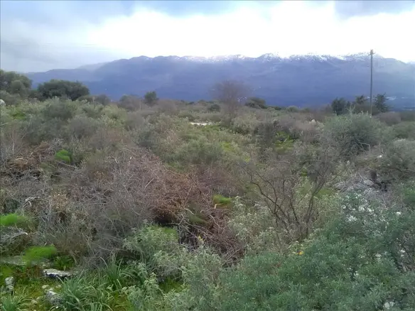 Land In Vamos, Greece