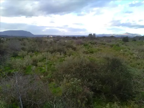 Land In Vamos, Greece