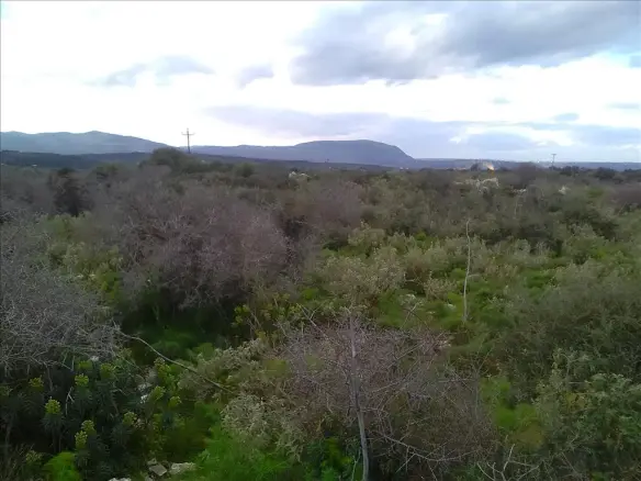 Land In Vamos, Greece