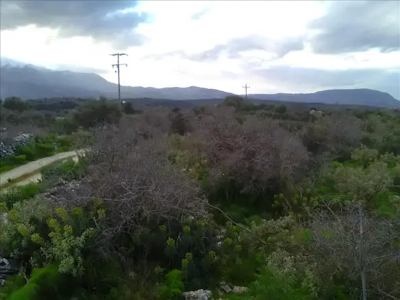 Land In Vamos, Greece