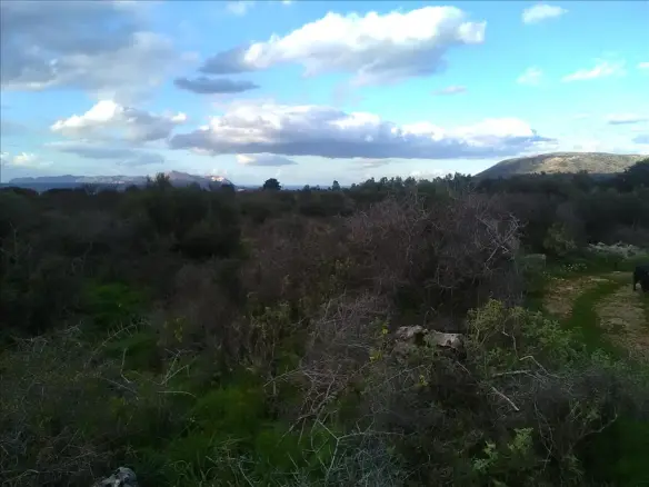 Land In Vamos, Greece