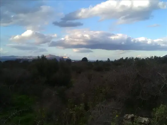 Land In Vamos, Greece
