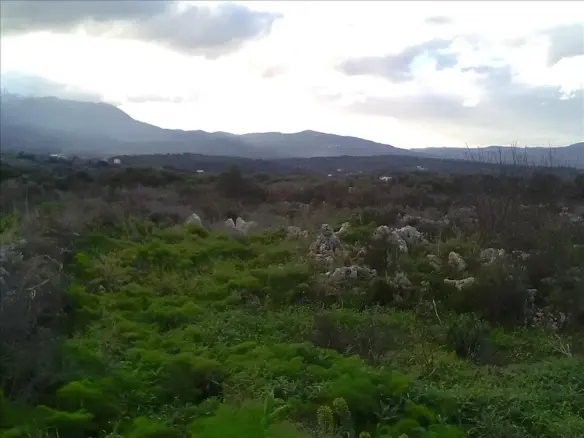 Land In Vamos, Greece