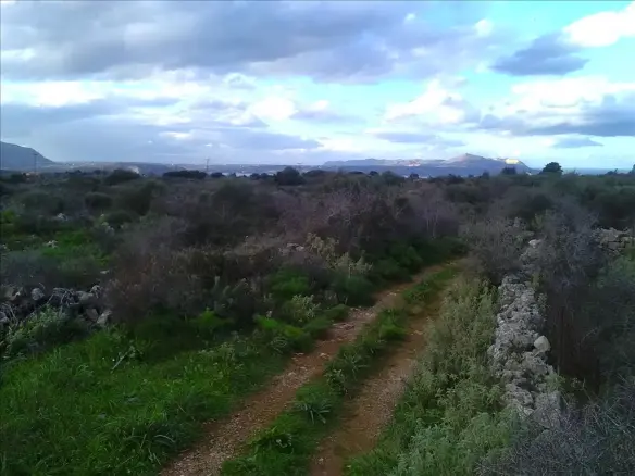 Land In Vamos, Greece