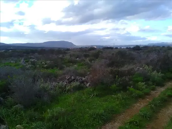 Land In Vamos, Greece