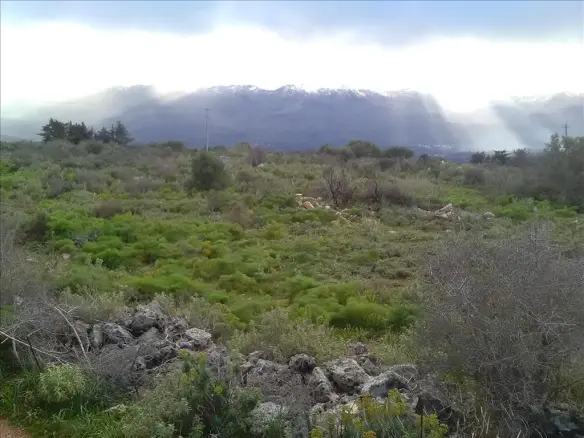 Land In Vamos, Greece
