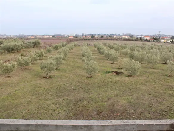 2-bedroom Detached House In Dion, Greece (80 M²)
