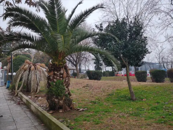 Commercial Space Of 150 M² Located In Thessaloniki