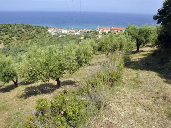 Expansive 3750 M² Land Parcel In Sithonia, Chalkidiki
