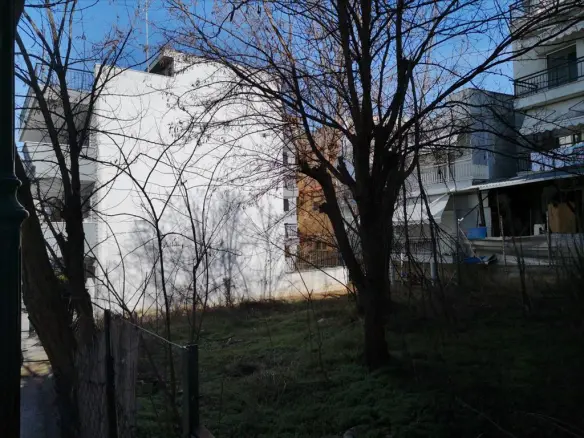 Land In Polichni, Greece