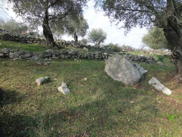 Land In Corfu, Greece