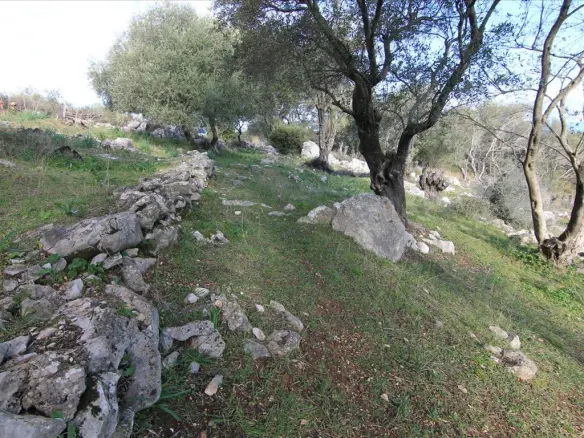 Land In Corfu, Greece