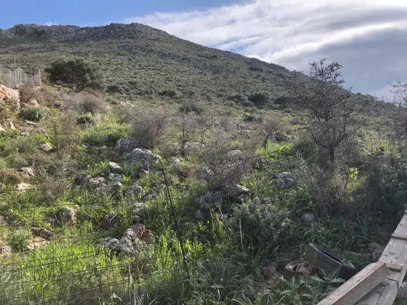 Land In Vamos, Greece