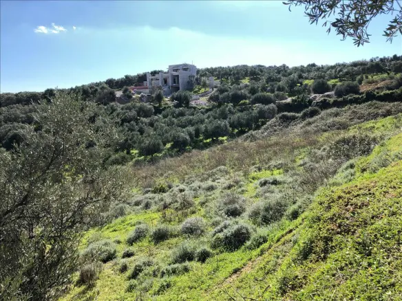 Land In Nea Kidonia, Greece