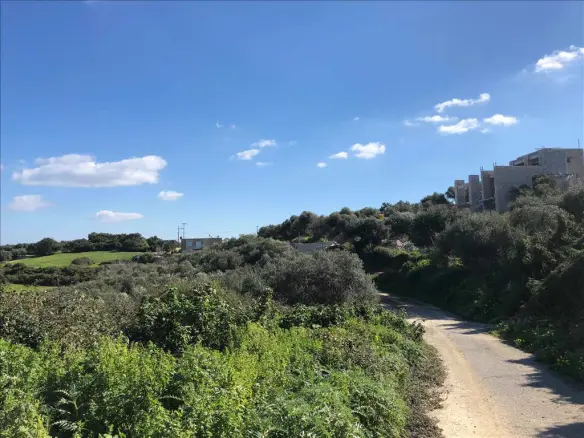 Land In Nea Kidonia, Greece