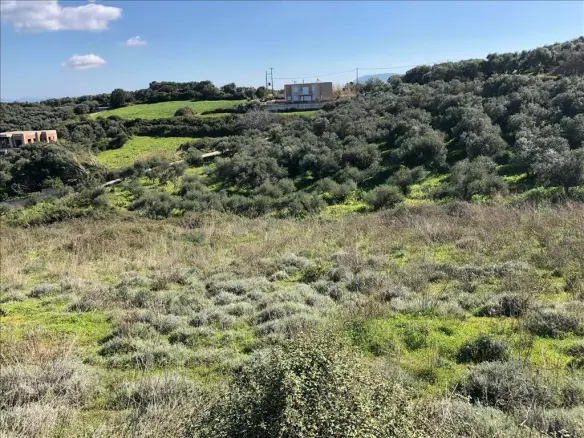 Land In Nea Kidonia, Greece