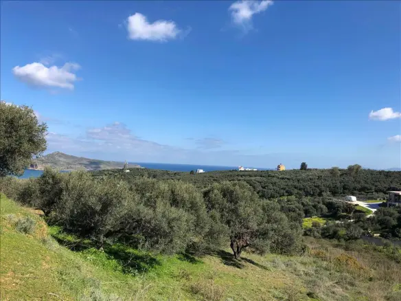 Land In Nea Kidonia, Greece